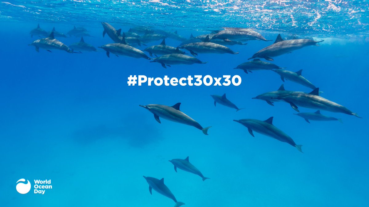 Conservation Guide (@conserveguide) on Twitter photo Now is the time for big change. Join <a href="/ConserveGuide/">Conservation Guide</a> and people around the world by signing in support of the global movement to protect 30% of the planet’s lands, waters, and ocean by 2030. Together we can #Protect30x30: bit.ly/30x30WOD Now is the time for big change. Join <a href="/ConserveGuide/">Conservation Guide</a> and people around the world by signing in support of the global movement to protect 30% of the planet’s lands, waters, and ocean by 2030. Together we can #Protect30x30: bit.ly/30x30WOD