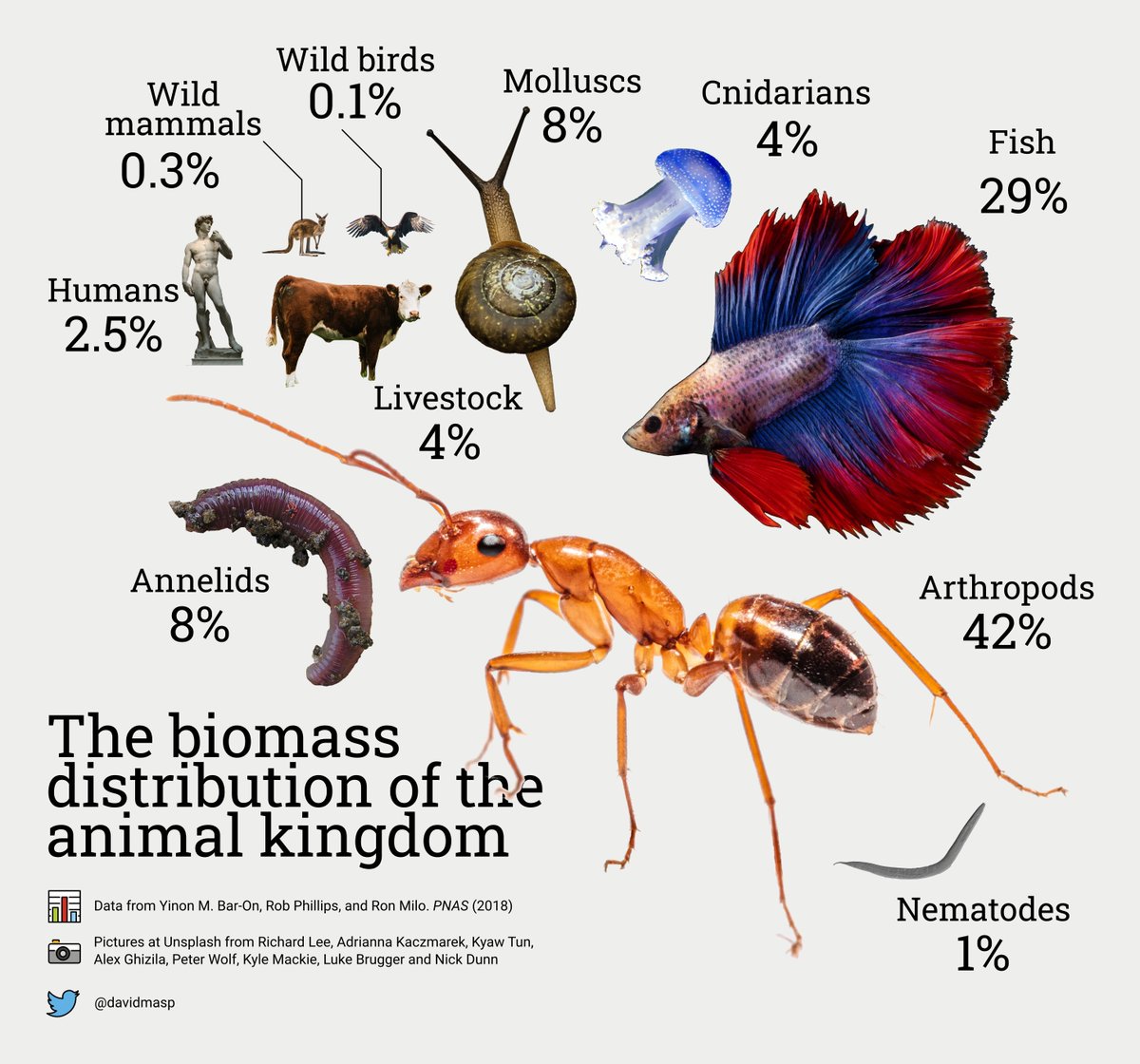 The distribution of animal biomass. If you put every member of each animal group on a scale: -Arthropods would be the heaviest, followed by fish -Human livestock would outweigh actual humans -Human livestock would greatly outweigh wild mammals and birds reddit.com/r/dataisbeauti…