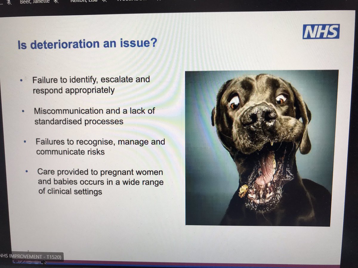 Great to have an update on the MatNeoSIP deterioration workstream from Tony at the Wessex MatNeo Patient Safety Network, striving to improve care for women and babies <a href="/tonykellyuk/">Tony Kelly</a> <a href="/MatNeoSIP/">MatNeoSIP</a> @WessexAHSN <a href="/WessexPSC/">Wessex Patient Safety</a> <a href="/RutterHannah/">Hannah Rutter 💙</a> <a href="/LisaRelton/">Lisa relton</a>