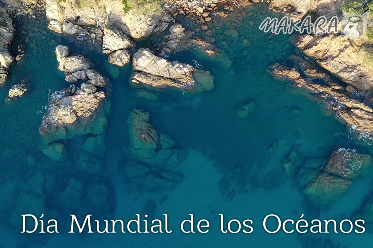 Feliz día mundial de los océanos!! Hoy 8 de Junio celebramos este gran día con un fotón de nuestros amigos de <a href="/Hidden_Deserts/">Hidden Deserts</a> 

Cuidar de nuestros océanos es responsabilidad de todos! #makiconsejo 

#worldoceansday #diamundialoceanos