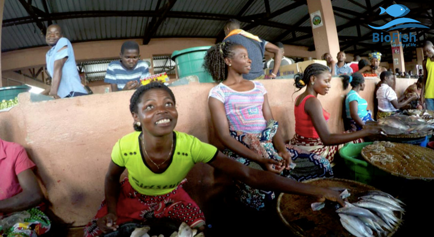 Women selling fish in Brandão market, Quelimane, Mozambique.