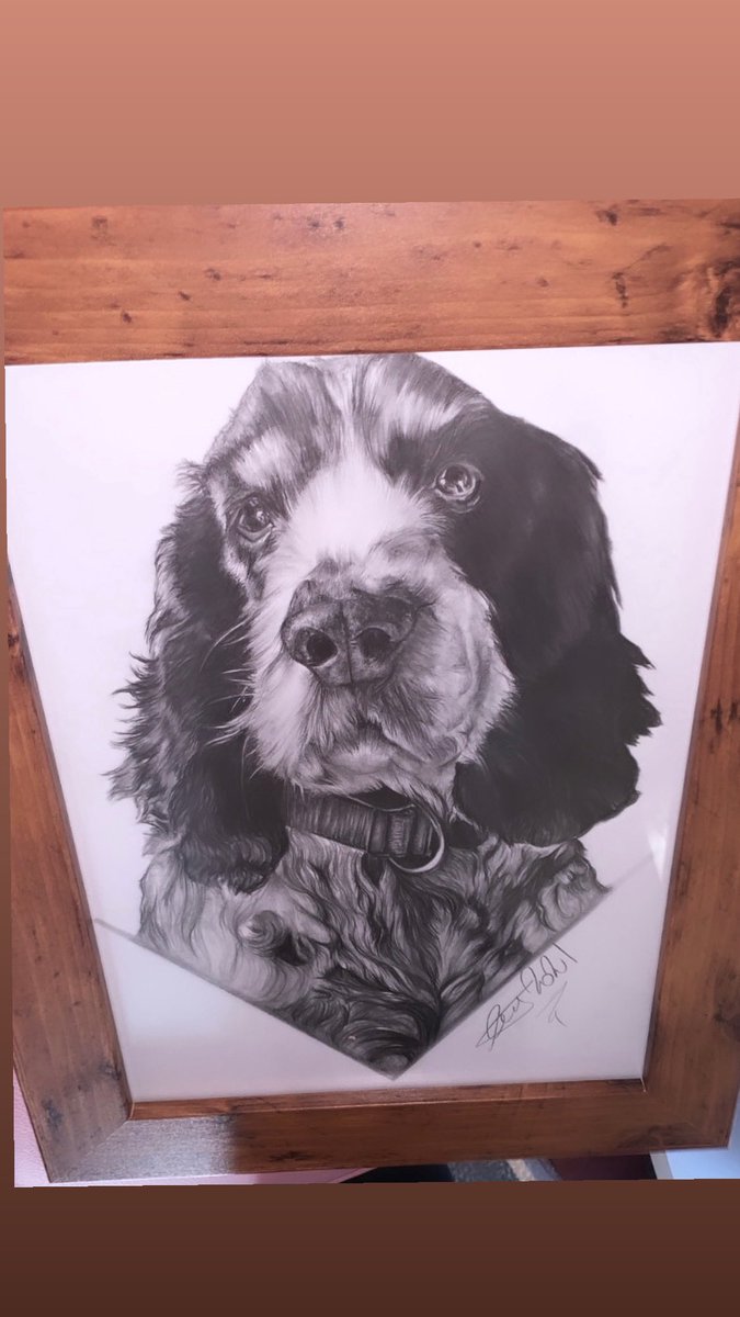 Absolutely loved doing this A4 black and white drawing!🐶❤️ it’s been a pleasure! ❤️👏🏻 #art #artist #oldham #manchester #SmallBusinesses #oldhambusiness #drawing #draw #comission #beauty #unique #pets #animals #dogsoftwitter #dog #puppy #AnimalLove #artwork #RETWEEET #Like