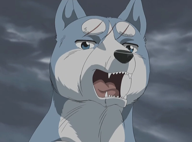 гин легенда о серебряном клыке. легенда серебряного клыка гина. гин легенда о серебряном клыке. гинга нагаребоши гин. легенда о серебряном клыке уид.