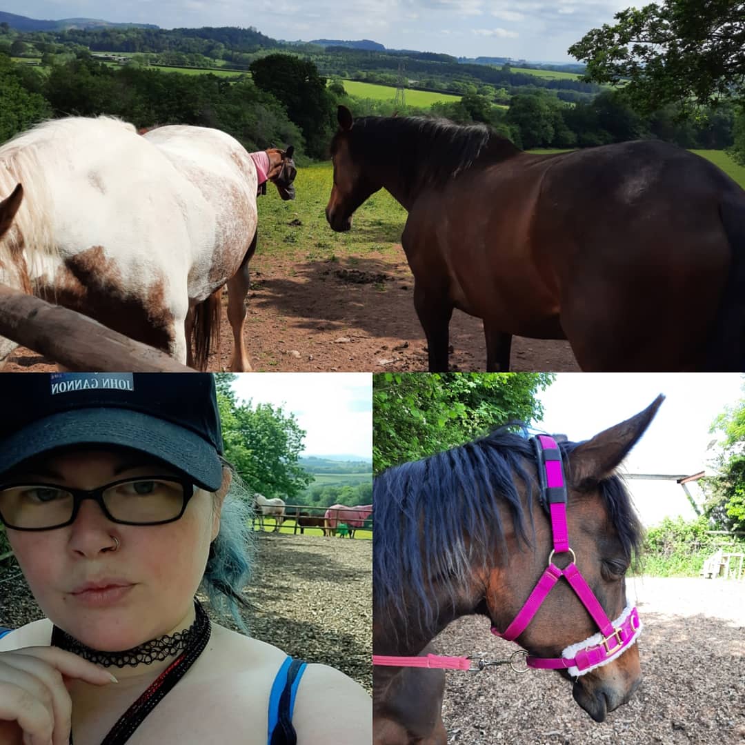 FireArose16's tweet photo. Horsey life! Nice morning down the farm with my girl and her buddies xx

#farm #Horses #summer #hotdays #exercise https://t.co/F12eZb60RN