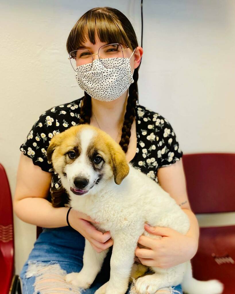 He’s literally smiling. This St. Bernard squish is going home! #adopted

#dogsmile #adoptdontshop #stbernard #stbernardpuppy #squish #smush #squishmallows #squishface #chonk #puppersofinstagram #puppiesofinstagram #espanolahumane #moreloveperpaw #dogsofi… instagr.am/p/CP3AMW6LOIR/