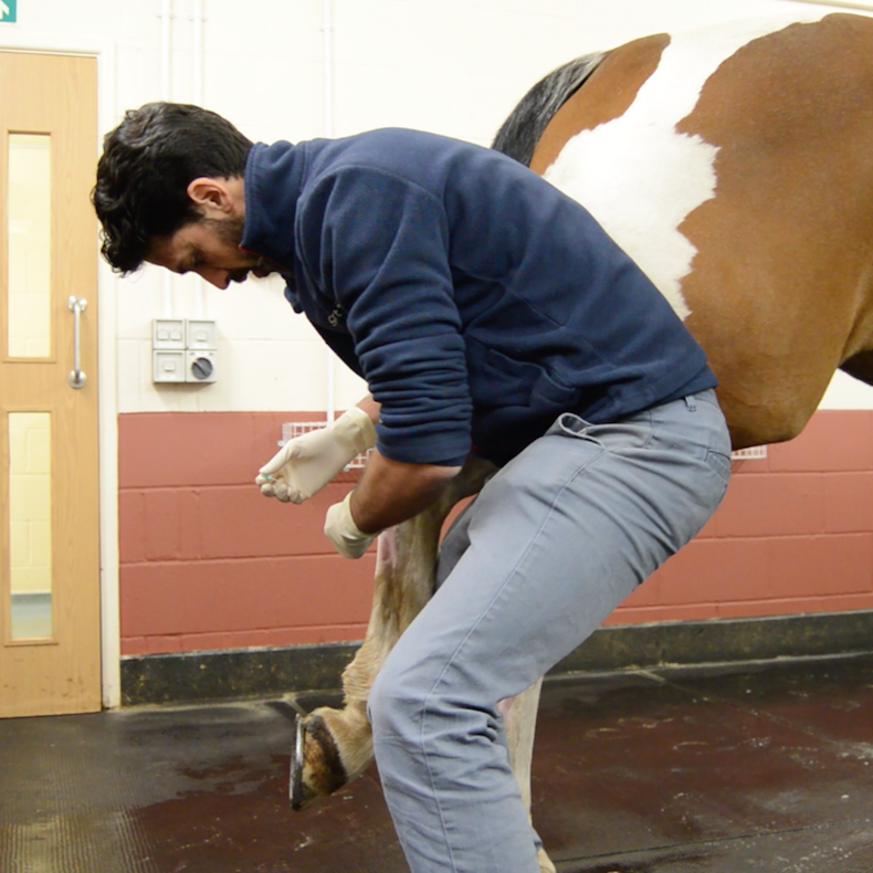 Dr Alex explains how we can help when your horse goes lame. Chapelfield Vets, Brooke Equine Clinic. youtu.be/5fTL5XHU5Wg via <a href="/YouTube/">YouTube</a>