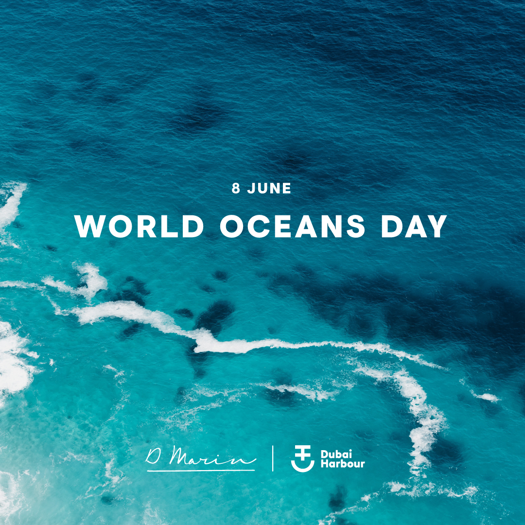Dubai Harbour Marinas tweet media