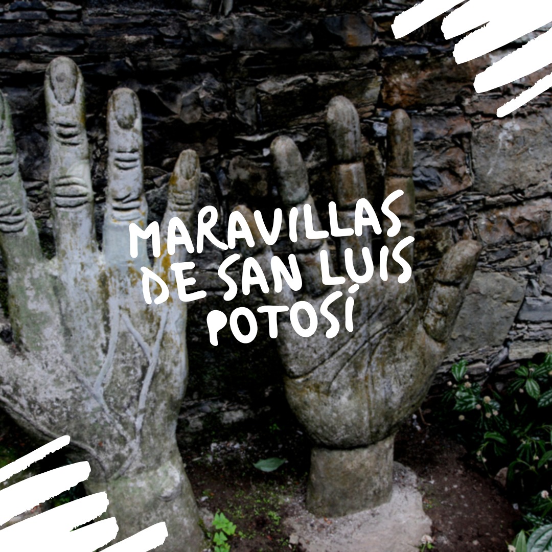 ContraloriasMX's tweet photo. Maravillas de San Luis Potosí
#conoceméxico https://t.co/mgsFF8KzXb