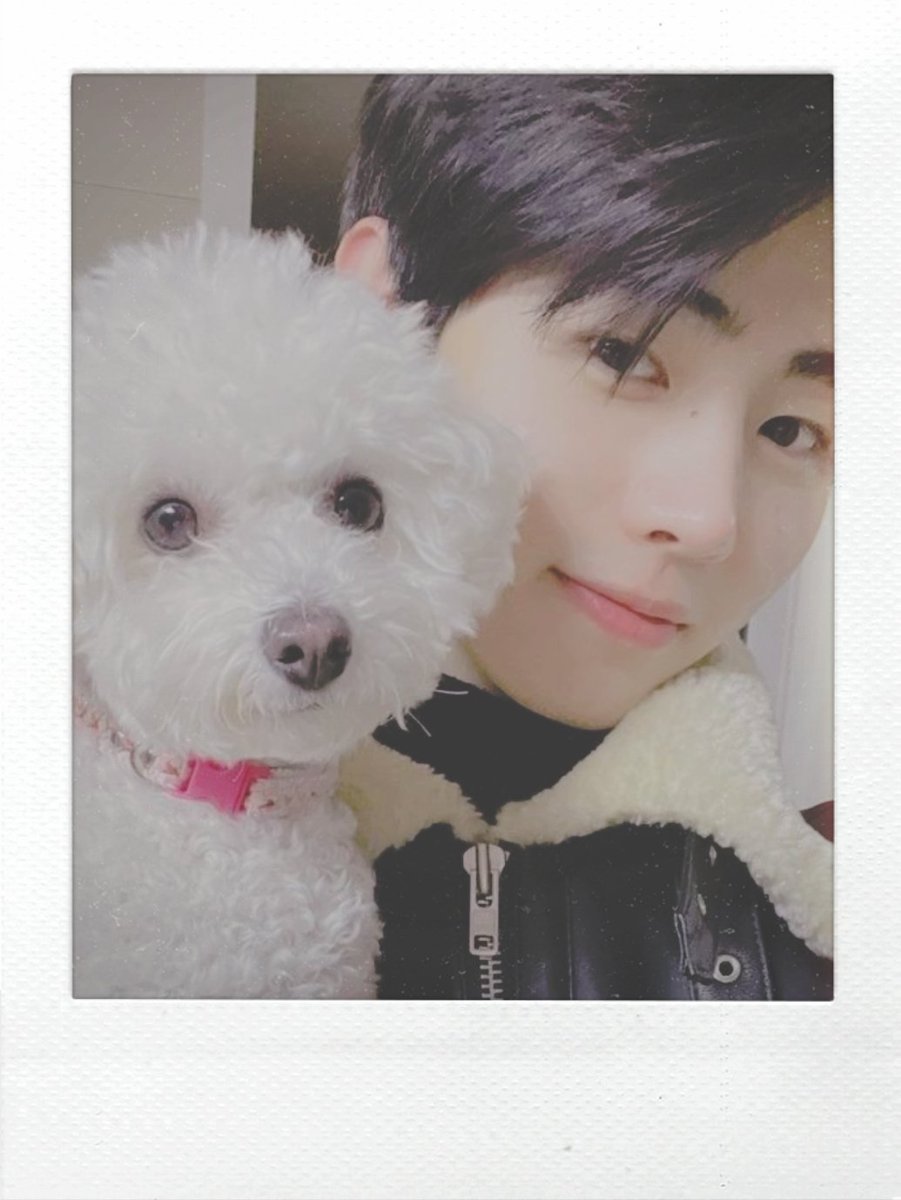 ShimKikei's tweet photo. GRRRR BRRRR ARF ARF MEOW MEOW WOOF WOOF AWOOOOOO 

#ENSD #ENGENESelcaDay #ENHYPEN #SUNGHOON @ENHYPEN_members @ENHYPEN https://t.co/3E8EnOwfs1