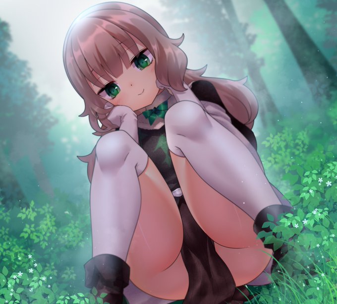 雨上がり、霧に白む森 