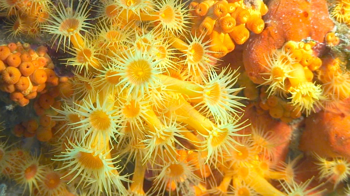 Martina Milanese tweet media