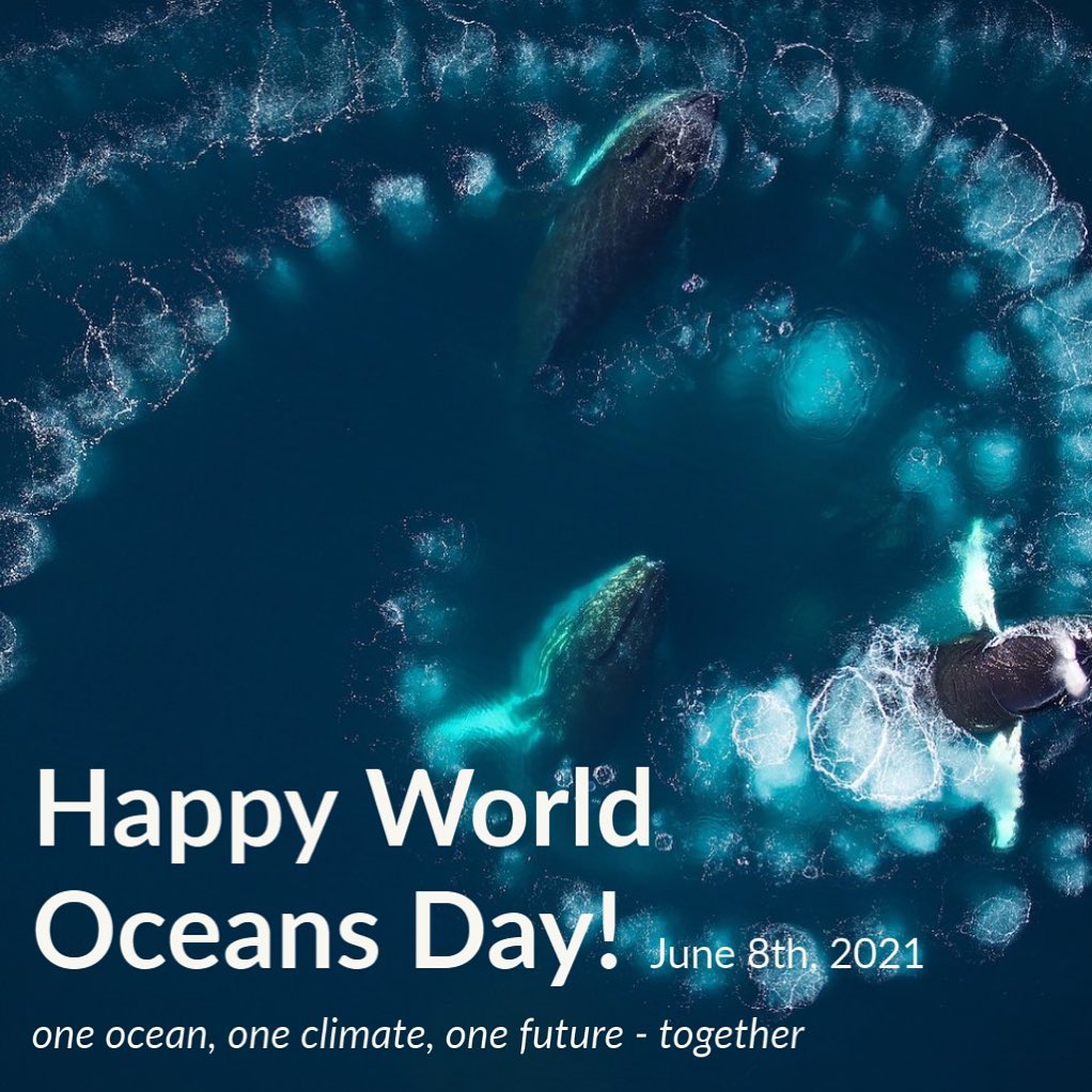 Ocean Sciences Happy World Oceans Day One Ocean One Climate One Future Together Which Emphasizes The Interconnectedness Of All Organisms And Ecosystems On Our Planet We Must Work Together Ocean Sciences Happy World Oceans Day One Ocean One Climate One Future Together Which Emphasizes The Interconnectedness Of All Organisms And Ecosystems On Our Planet We Must Work Together