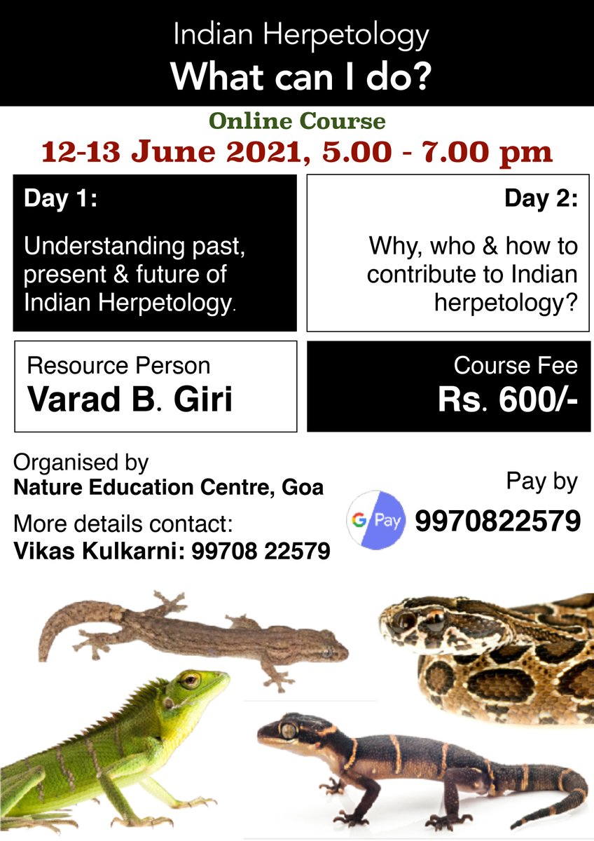 varad_giri's tweet photo. Any citizen can contribute to science. 
If you wish to make contributions to the field of Indian Amphibians and Reptiles and don't know what to do then join this two-day interactive course. 
#nidusexplore #IndiAves #herpetology #CitizenScience https://t.co/GIUjHLZiTu