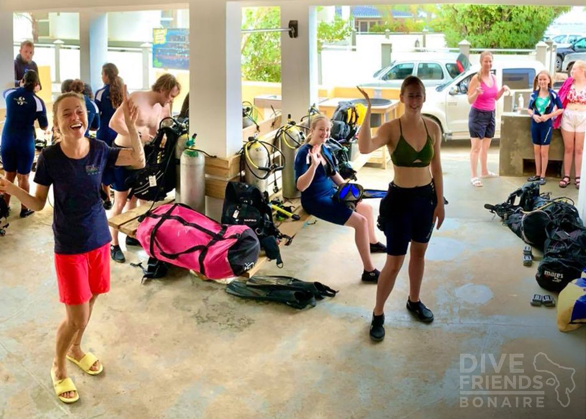 Dive Friends Bonaire tweet media