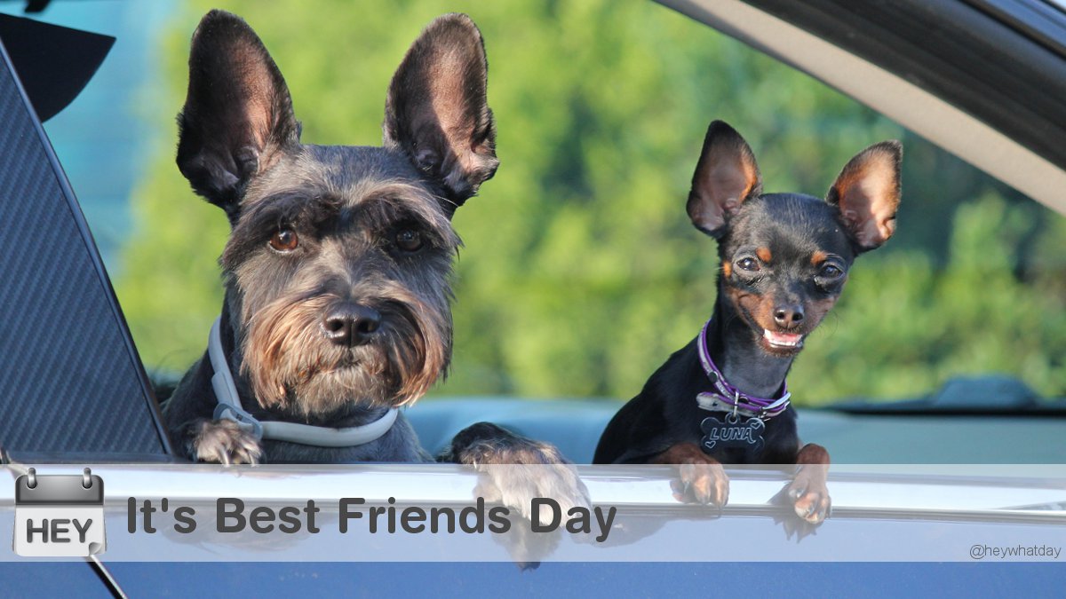 It's Best Friends Day! 
#BestFriendsDay #NationalBestFriendsDay #BestFriendDay
