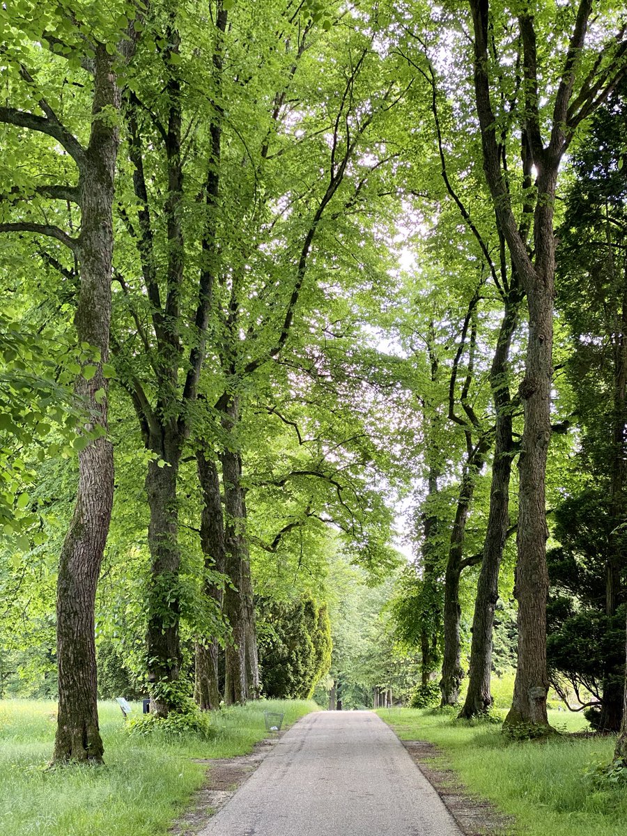 marcoderksen's tweet photo. Lunchwandeling was dit keer overigens niet door park Sonsbeek maar door mijn achtertuin ;) #arnhem #moscowa https://t.co/Q4OTp88pME