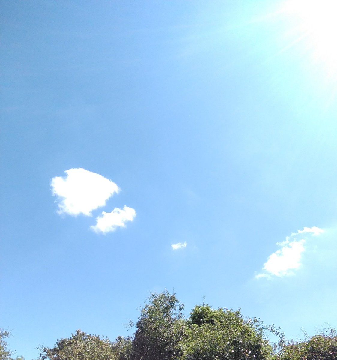 flyingmammal555's tweet photo. 🎶 And if the sunshine has a meaning it's telling me....   THREE sleeps to go #KeepOnMovin21Remix 
@itsfiveofficial #Five #KOM21Remix #5ive #Fiveofficial https://t.co/CMXE6U2FLc