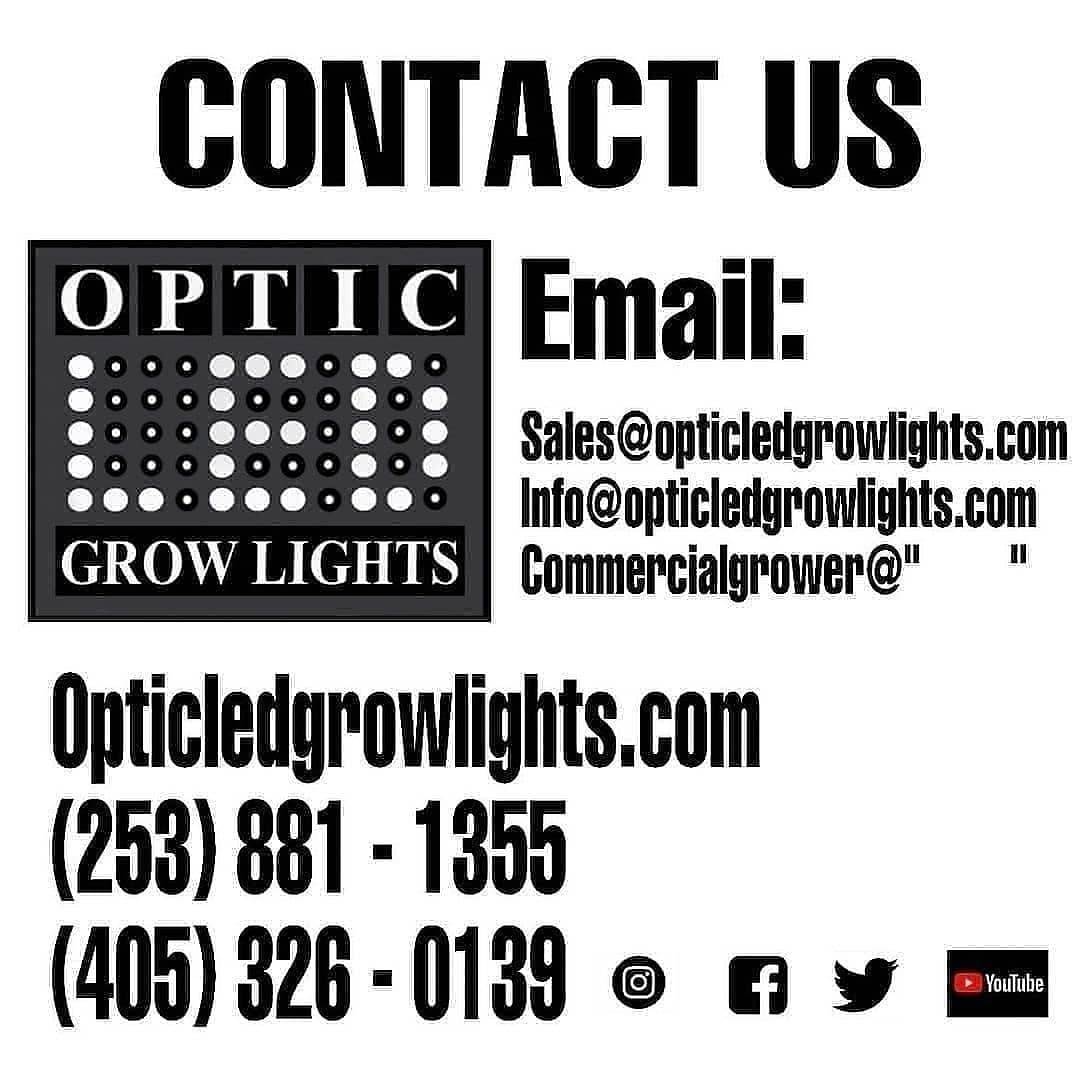 WGREGO202's tweet photo. @opticledgrowlights Big shout out to @flacowatts and his Slim 480H powered grow room here. Looking oh so good under all those Samsung 301H and CreeXPE LEDs! Quality over quantity everytime! π₯π₯π―π― #Slim480H #Samsung301H #CreeXPE #MeanwellDriver #PassivelyCooled #OpticLED https://t.co/G4nAz0oCyF