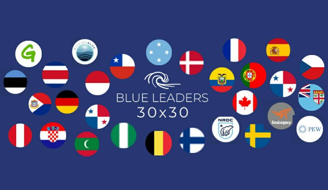VincentVQ's tweet photo. Happy #WorldOceansDay and welcome to our newest @theblueleaders: #Panama, #Nigeria and #Croatia. Looking forward to working with you and all Blue Leaders towards a #healthyocean #30x30 #highlyfully. https://t.co/3o1URo47az