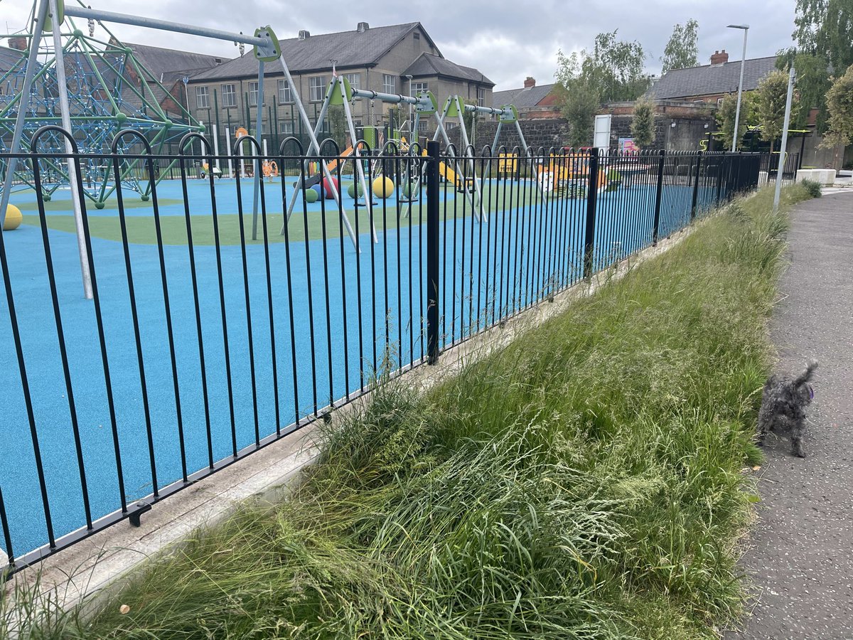 visionworkstv's tweet image. Donegal Pass community centre grounds looking very shabby, grass and weeds. What a shame as this is a great facility. ⁦@belfastcc⁩ ⁦@DPCForum⁩ ⁦@PaulaJaneB⁩