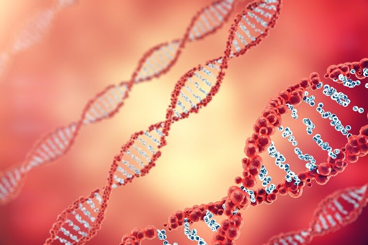 College of Biological Science (@uofgcbs) on Twitter photo New in #UofGCBS Research: Genome Miners Strike Toxin Gold. Researchers in <a href="/UofG_MCB/">MCB at UofG</a> have discovered a previously unknown mART #toxin, named "Vorin", that's produced by the same #bacteria that causes fire blight in plants. Read our latest SCRIBE story:
fal.cn/scriberesearch… New in #UofGCBS Research: Genome Miners Strike Toxin Gold. Researchers in <a href="/UofG_MCB/">MCB at UofG</a> have discovered a previously unknown mART #toxin, named "Vorin", that's produced by the same #bacteria that causes fire blight in plants. Read our latest SCRIBE story:
fal.cn/scriberesearch…