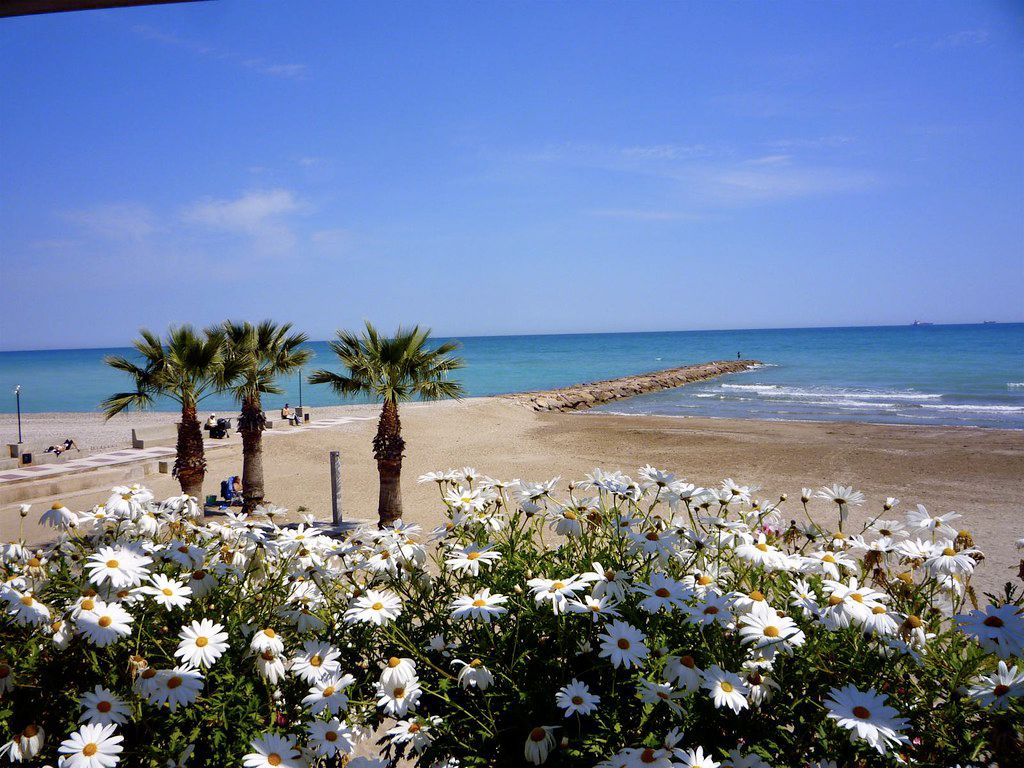 OrangeCosta's tweet photo. ¿Pensando en las vacaciones de verano? ☀ ¡Estos son los destinos que te ofrecemos! ¿Cuál es tu preferido? https://t.co/NlTOgkeT1E