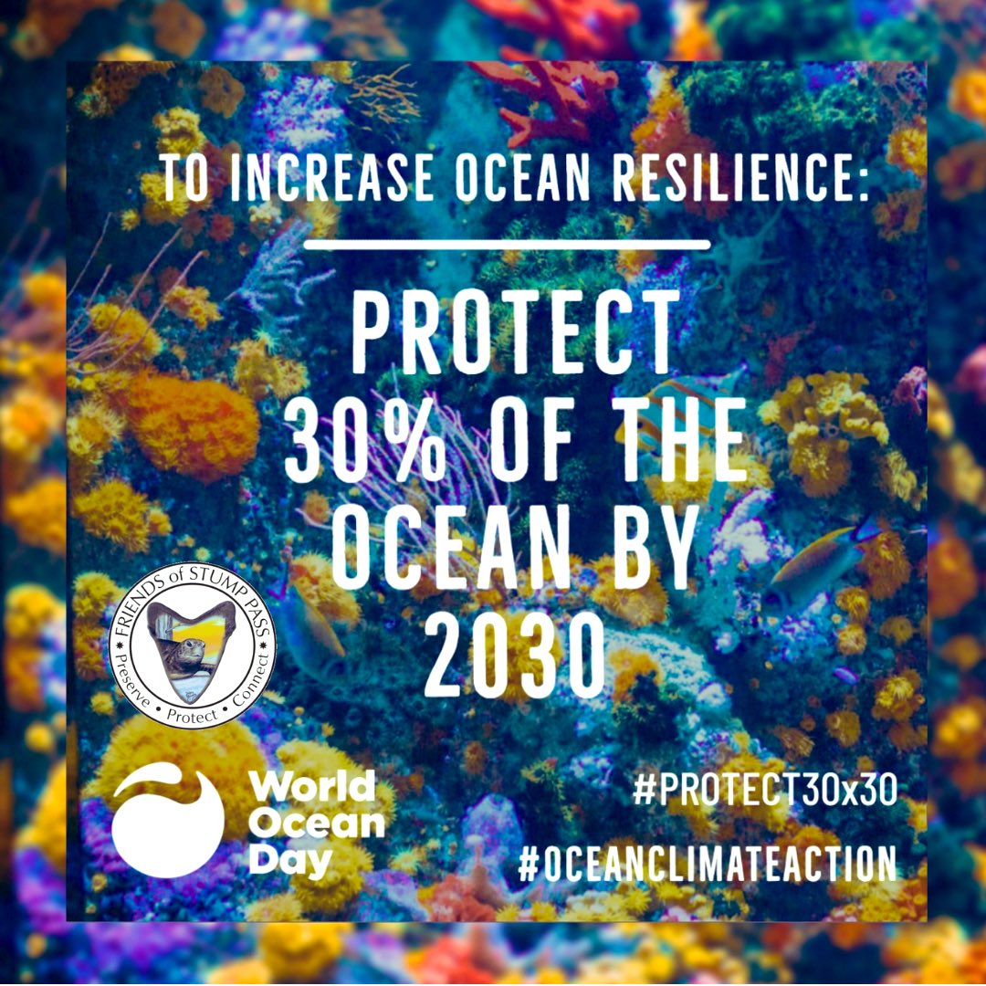 FOSPSP's tweet photo. If you want to understand climate, follow the water.if there is no ocean, there is no climate.-Dr. Sylvia https://t.co/AM9G872tYw advance @FOSPSP is supporting the movement to protect at least 30% of our ocean by 2030.We signed to #Seaturtleweek https://t.co/KrWNj8ZnuW #swfl https://t.co/HVfjPYrYBf