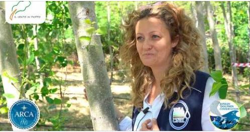 Life4MarPiccolo tweet media