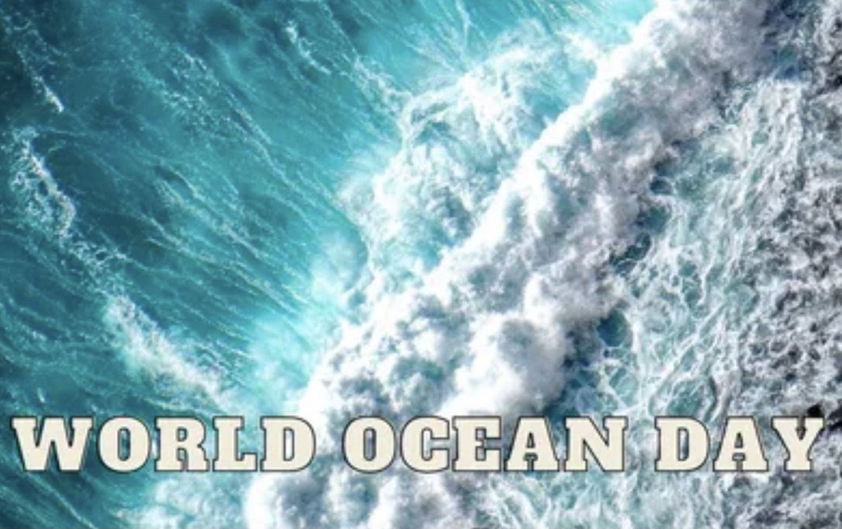 Celebrate #WorldOceanDay by fixing leaking pipes and appliances. #Plumber