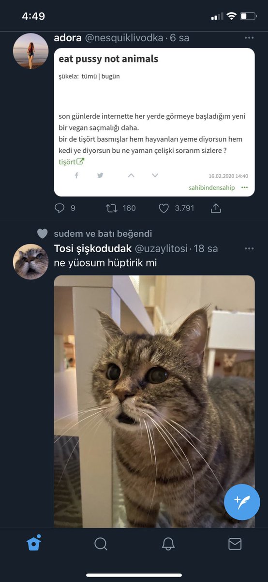 simplyserraa's tweet photo. @nesquiklivodka Mükemmel bi denk geliş ahsshs https://t.co/3U4bhGth8J