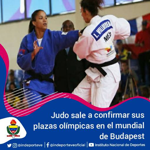 INDeporteVE's tweet photo. #PagWeb | Anriquelis Barrios, Elvismar Rodríguez y Karen León, suben al tatami del Campeonato Mundial de Judo en Budapest, Hungría, evento que reparte 2000 puntos y que marca el punto de cierre para ranking olímpico camino a Tokio 2020.👉🏼 https://t.co/aB5hjcUNIG 👈🏼 #GrandeVzla https://t.co/mpY6dYXDpS