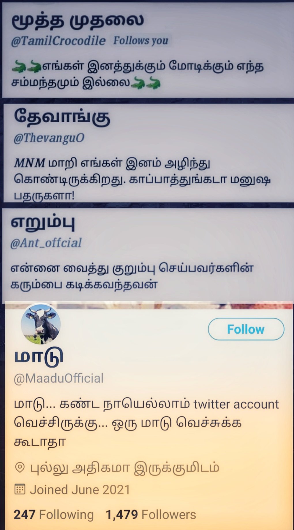 E3XYUTMXwA8LRfi?format=jpg&name=large