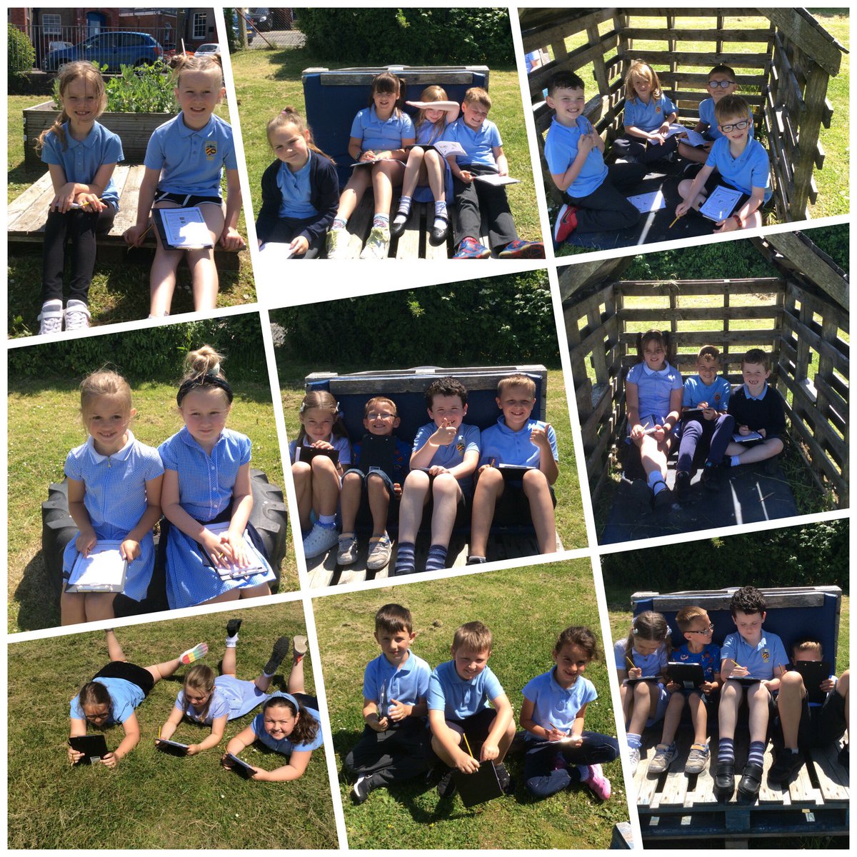 BryncethinPS6's tweet photo. A lovely afternoon reading about different types of birds and completing a bird survey ☀️🦅 https://t.co/rJRwkwAtmo