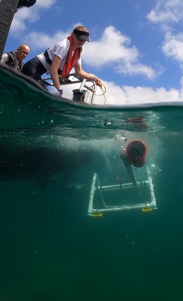 Marine research on the Isles of Scilly for world oceans day - Project led by @SarahsElizabeth and @_KMETCALFE from @exeterMarine using baited video cameras to examine important of eelgrass as habitat for marine life. Pictures by @OwenExeter