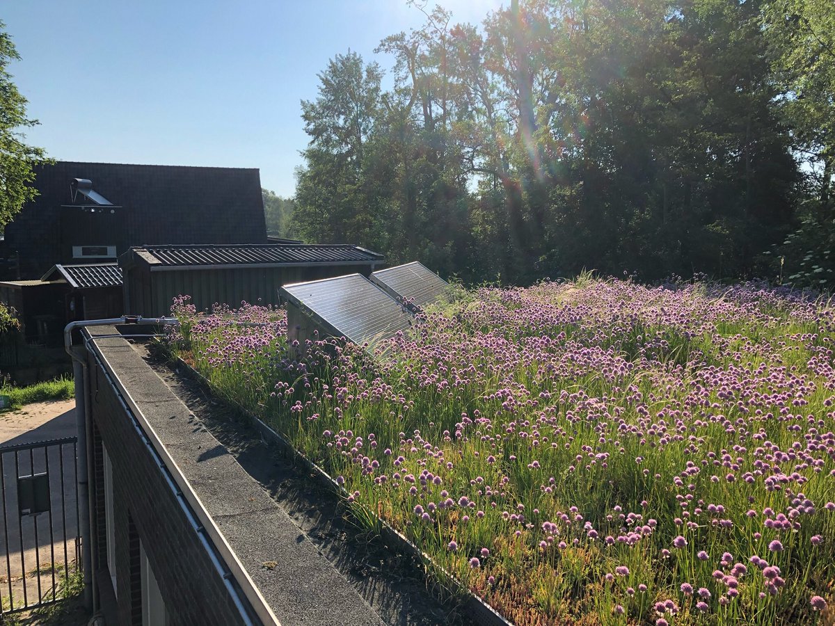 Andrewerk's tweet image. 4 Gemalen bij #volkstuinen en #kinderboerderijen omgebouwd met #zonnepanelen voor @Stadsbeheer010 ism @iburo010 
Alles netjes uitgevoerd door firma @KwakernaakBV 👌🏻