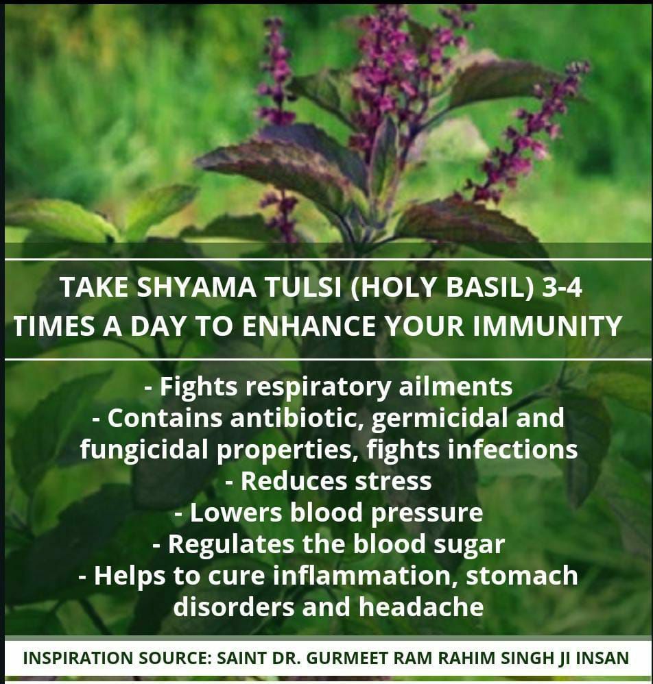 TanuInsa3's tweet photo. There is many #HealthTips given by #SaintMSG . These are the 
#HealthMantras to make our 
#HealthyLifestyle
#SaintDrGurmeetRamRahimJi
#BabaRamRahim
#DeraSachaSauda https://t.co/kNfVCFPi3s