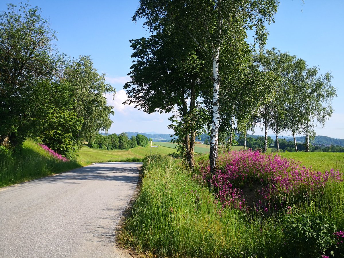 DesignWithWool's tweet image. 