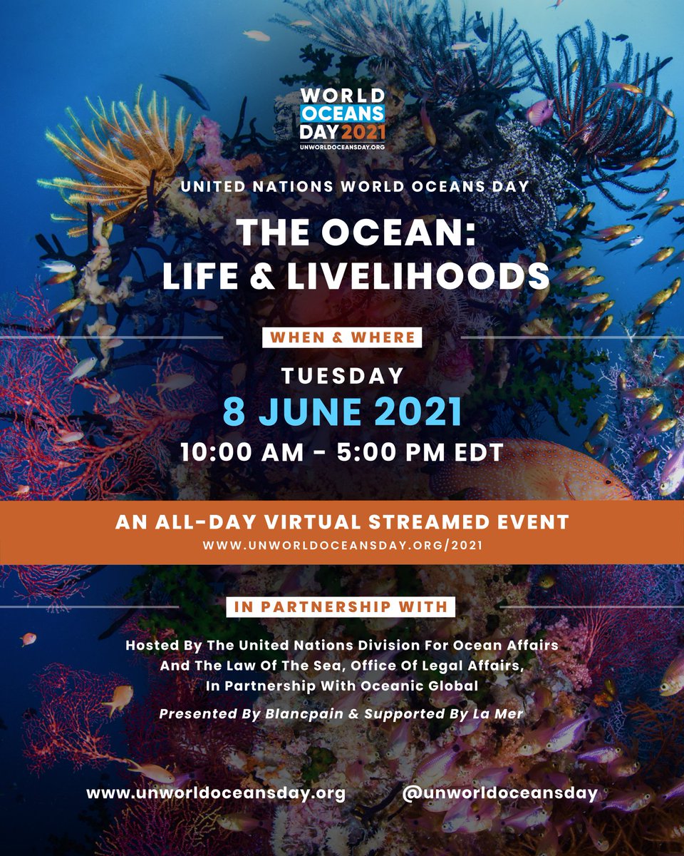 NOAAFisheries's tweet photo. Tune in to the Oceanic Discoveries segment of #UNWorldOceansDay at 10:35am ET to hear from NOAA scientist Jonathan Whitney. Learn about the incredible biodiversity of the ocean &amp; recent discoveries that affect our understanding of ocean life &amp; livelihoods: https://t.co/WZp4mtMAPH https://t.co/syOKvif0PW