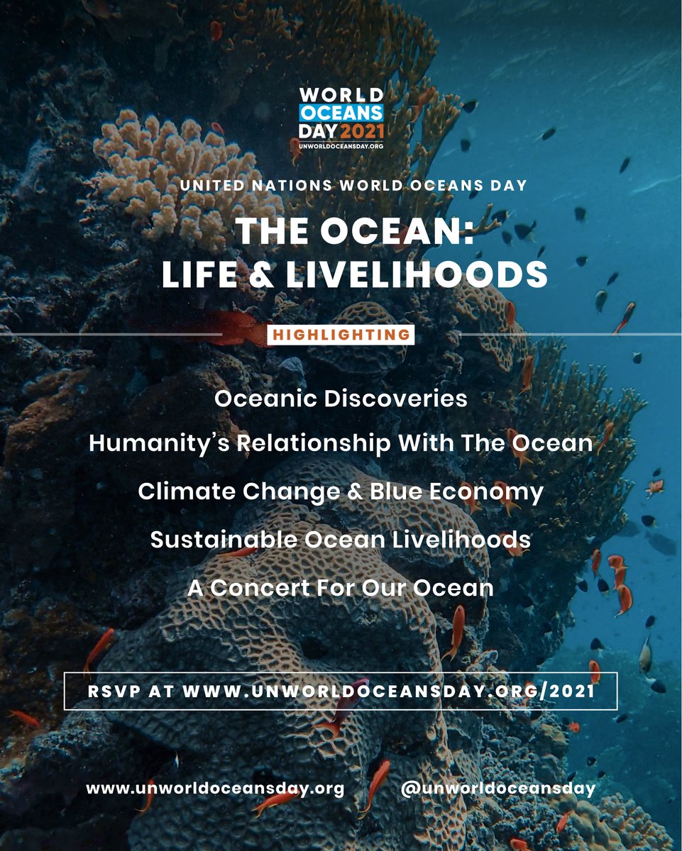 NOAAFisheries's tweet photo. Tune in to the Oceanic Discoveries segment of #UNWorldOceansDay at 10:35am ET to hear from NOAA scientist Jonathan Whitney. Learn about the incredible biodiversity of the ocean &amp; recent discoveries that affect our understanding of ocean life &amp; livelihoods: https://t.co/WZp4mtMAPH https://t.co/syOKvif0PW
