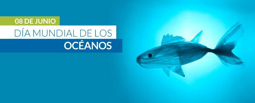 🅴🅻 🅳í🅰 🅼🆄🅽🅳🅸🅰🅻 🅳🅴 🅻🅾🆂 🅾🅲é🅰🅽🅾🆂
🦈🐚🦀🦪🦑🦈🐚🦀🦪🦑🦈🐚🦀🦪🦑
El día 8 de junio de cada año se celebra el Día Mundial de los Océanos. 
imagen del blog: nueva-iso-14001.com/.../dia-mundia…