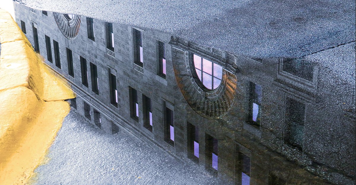 Article Group tweet media