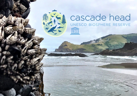 CascadeHead's tweet photo. World Ocean Day - https://t.co/NWav8CvVuD https://t.co/twg1GbCATv