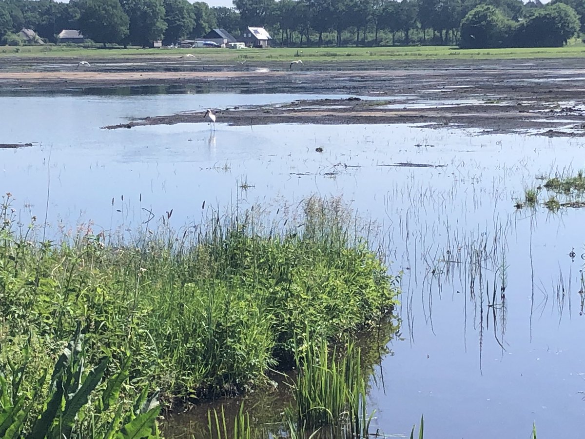 Roel van der Horst tweet media