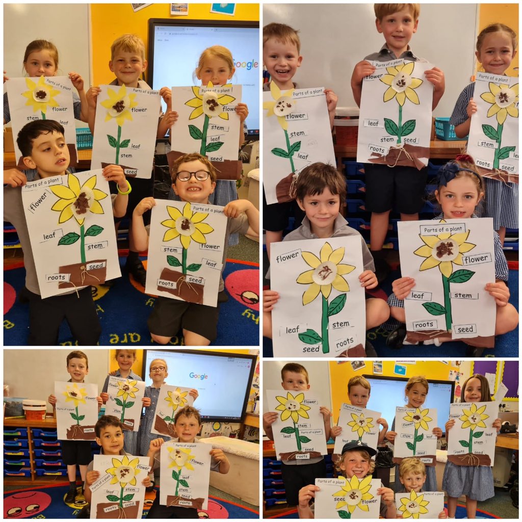 winterfoldhs's tweet photo. In science, Year 1 have been learning all about plants. Today, they labelled the different parts of a plant and talked about the function of each part. #WinterfoldScience #WinterfoldYear1 #TheWinterfoldWay https://t.co/ecPqVhRP1Q