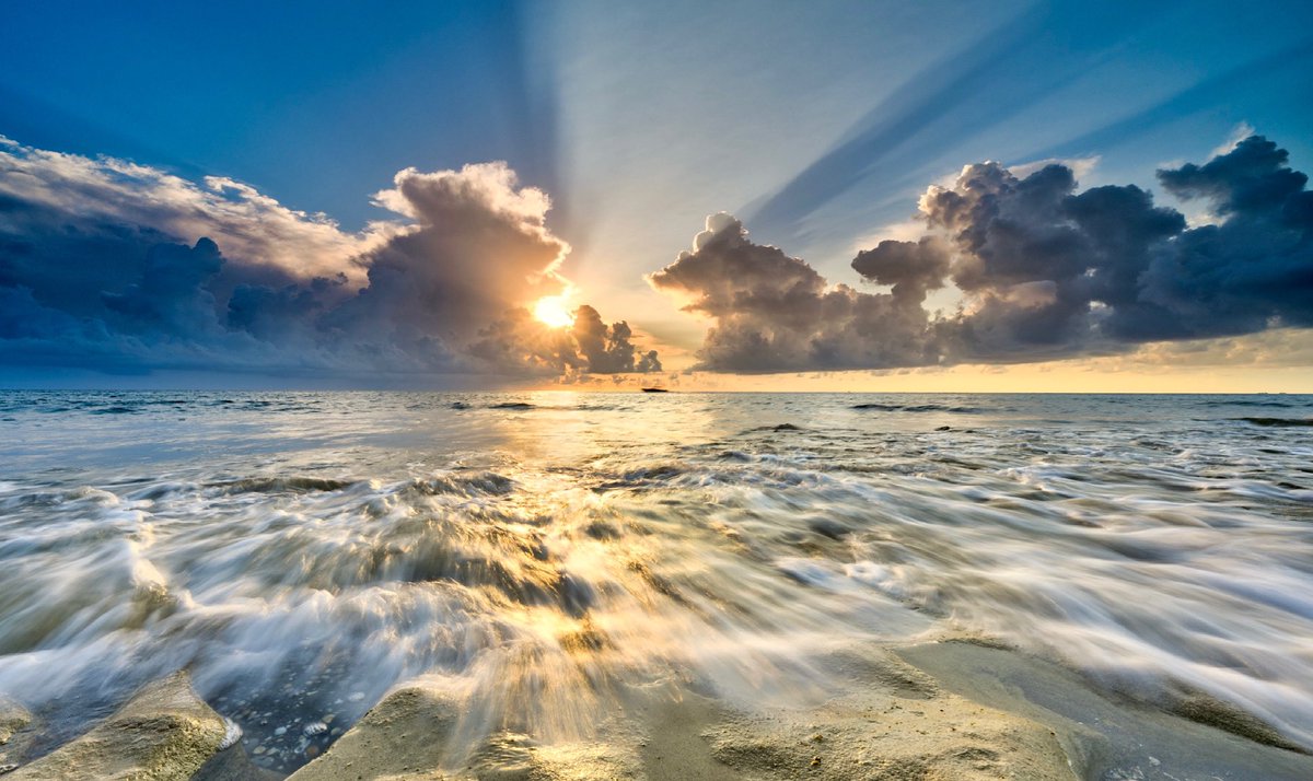 Deborah Sandidge tweet media