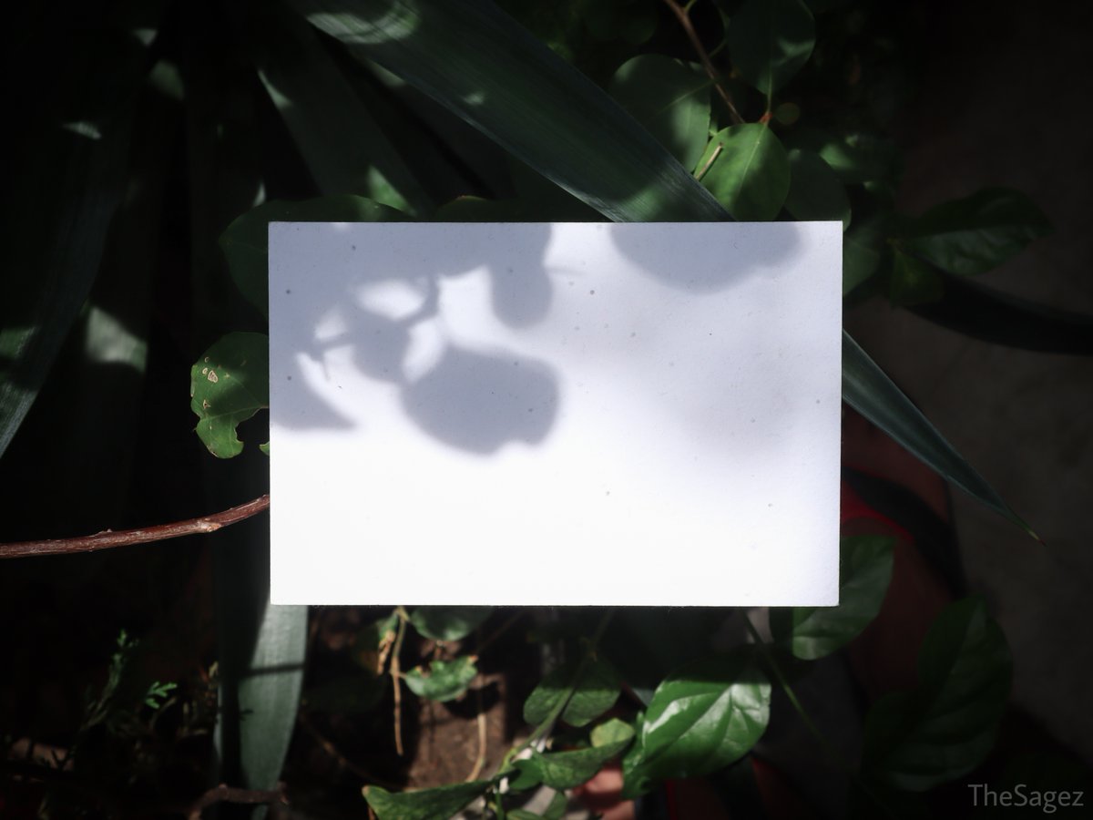 TheSagez's tweet photo. The visionary starts with a clean sheet of paper, and re-imagines the world.
 Get your hands on these sustainable papers and re-imagine yours. With Sagez you get quality products at a reasonable price.  

#sustainability #green #sageznature https://t.co/1sYQ5CjirL