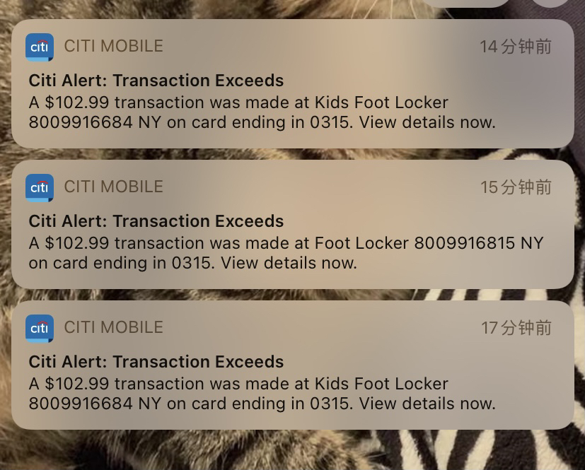 Success from vvvv in <a href="/PeachyProxies/">PeachyProxies™ 🍑⚡</a>