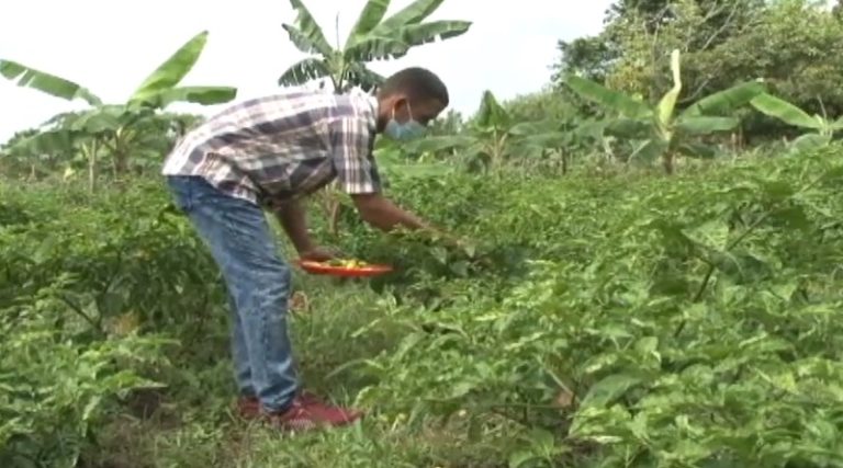 ZonaObrera1's tweet photo. #EsNoticia 📰 Guárico prevé fortalecer el sistema agroproductivo desde el sector urbano y comunal

Via: @VTVcanal8
Leer mas
⏬⏬⏬
https://t.co/JMI27Tep98

#PuebloLibertario #JunioBicentenario https://t.co/wR0yvWk7j1