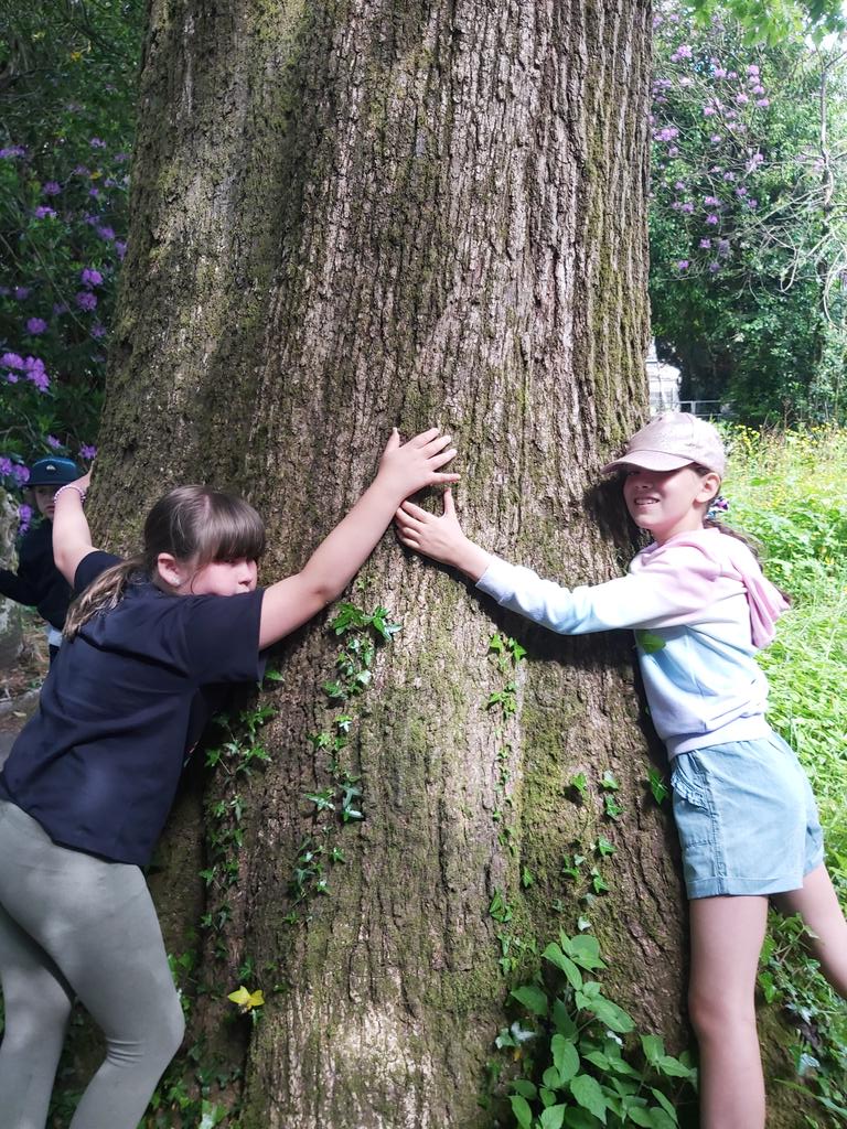 Measuring trees in hugs, hunting for different types of lichen and exploring nature in the beautiful churchyard of St Matthew's, Neath @BryncochCiW @godsacre @ChurchcareL @ChurchinWales #churchescountonnature