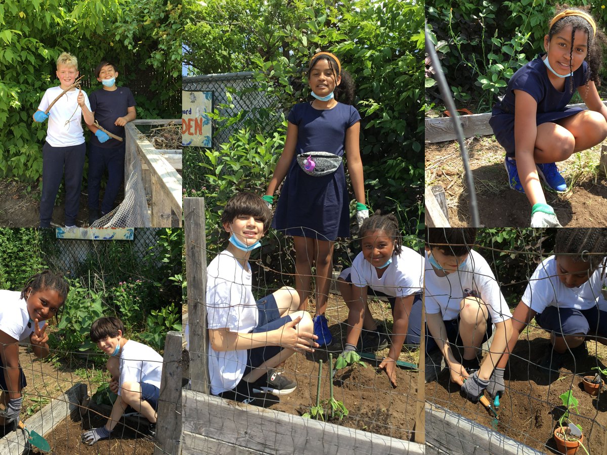 🐝🌸Our grade 5 students collaborated to plant a variety of herbs and vegetables after learning about biodiversity in our community. Different flowers were also planted to keep our bees healthy and happy! <a href="/MichelangeloInt/">Michelangelo Int'l</a>  🌺 #elementary #art #teacher #inspire #garden
